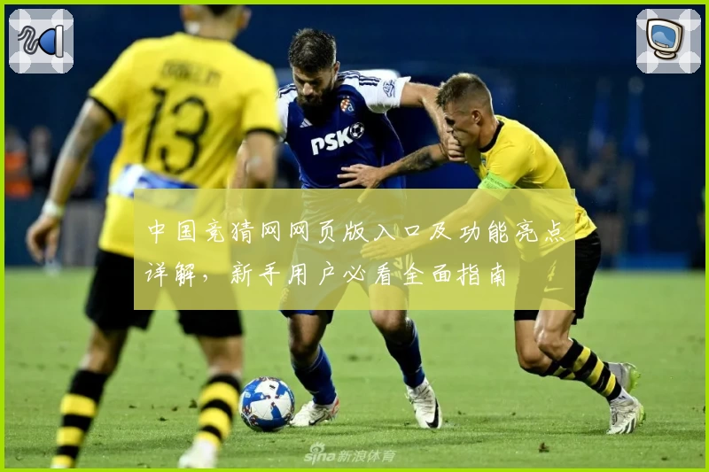 中国竞猜网网页版入口及功能亮点详解，新手用户必看全面指南