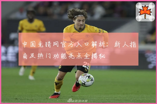 中国竞猜网官方入口解析：新人指南及热门功能亮点全揭秘
