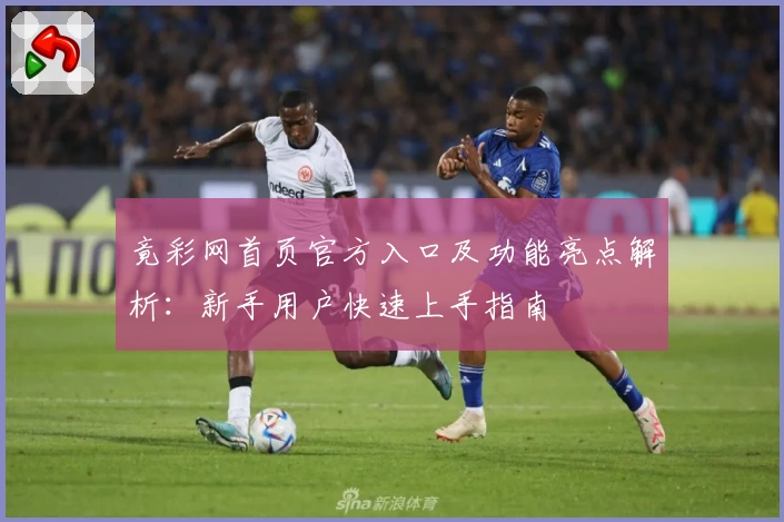 竟彩网首页官方入口及功能亮点解析：新手用户快速上手指南