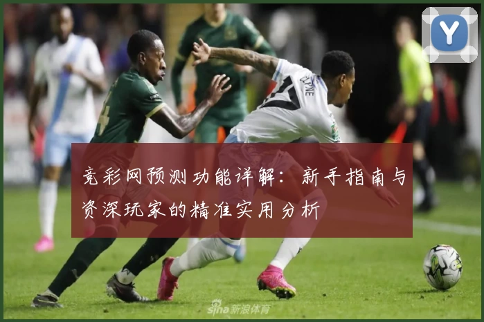 竞彩网预测功能详解：新手指南与资深玩家的精准实用分析