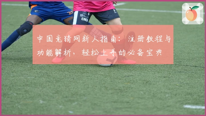 中国竞猜网新人指南：注册教程与功能解析，轻松上手的必备宝典