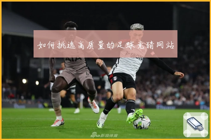 如何挑选高质量的足球竞猜网站